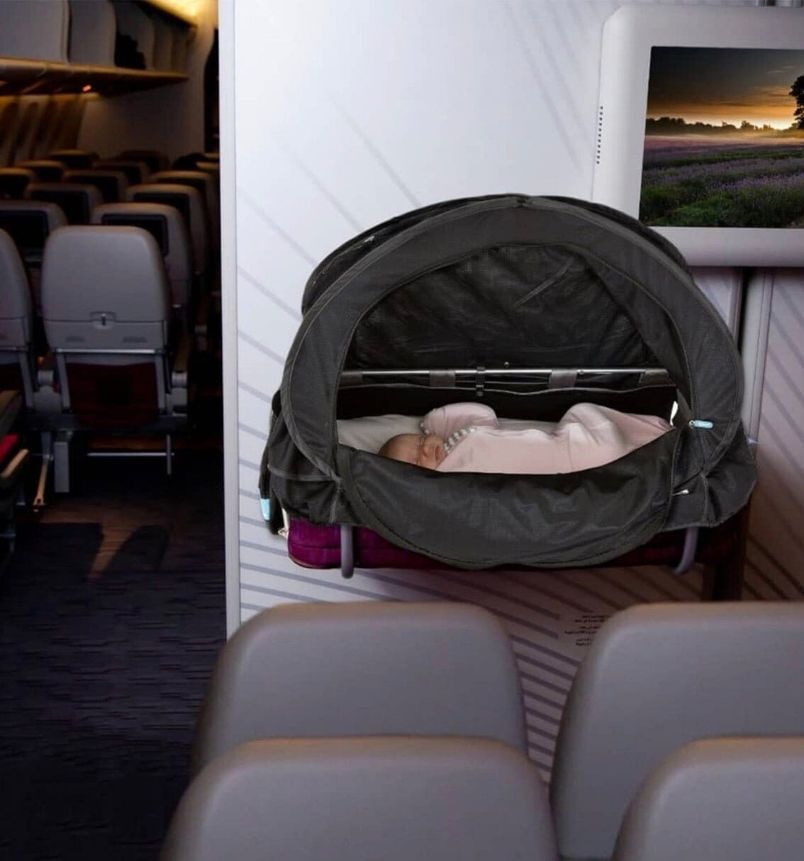 Cozigo Universal Bassinet Cover – Baboodle - Main Image